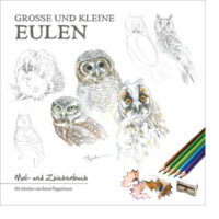 Große und kleine Eulen