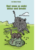Und wenn es nicht blitzt und kracht