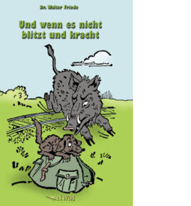 UndWennEsNichtBlitztUndKracht Und wenn es nicht blitzt und kracht