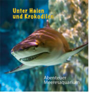 Unter Haien und Krokodilen - Abenteuer Meeresaquarium