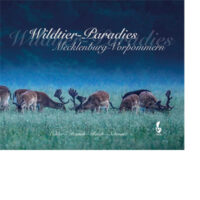 Wildtier-Paradies Mecklenburg-Vorpommern