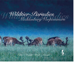 Wildtier-Paradies Mecklenburg-Vorpommern
